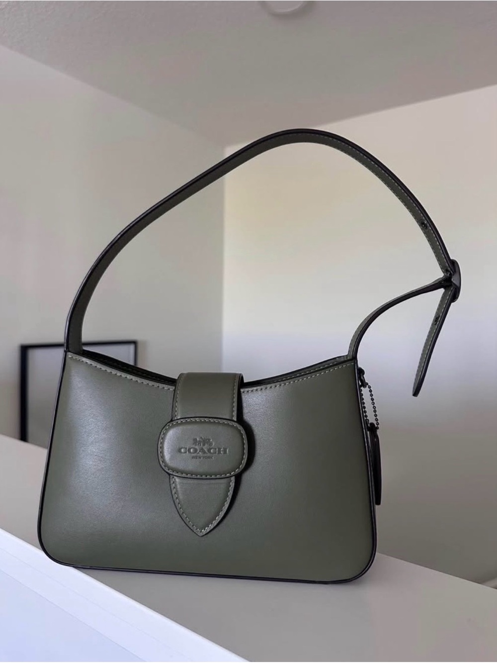 Coach Eliza Sage Green Leather Shoulder Bag - Picture 2 of 6